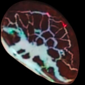 A close-up image of a vibrant Boulder Opal, showcasing its striking play of color with rich blues, greens, and fiery oranges. The stone's natural matrix of dark brown and black rock contrasts beautifully with the bright iridescent hues, highlighting its unique, organic texture., showcasing its striking play of color with rich blues, greens, and fiery oranges. The stone's natural matrix of dark brown and black rock contrasts beautifully with the bright iridescent hues, highlighting its unique, organic texture.
