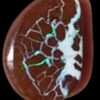 A close-up image of a vibrant Boulder Opal, showcasing its striking play of color with rich blues, greens, and fiery oranges. The stone's natural matrix of dark brown and black rock contrasts beautifully with the bright iridescent hues, highlighting its unique, organic texture., showcasing its striking play of color with rich blues, greens, and fiery oranges. The stone's natural matrix of dark brown and black rock contrasts beautifully with the bright iridescent hues, highlighting its unique, organic texture.