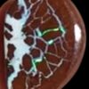 A close-up image of a vibrant Boulder Opal, showcasing its striking play of color with rich blues, greens, and fiery oranges. The stone's natural matrix of dark brown and black rock contrasts beautifully with the bright iridescent hues, highlighting its unique, organic texture., showcasing its striking play of color with rich blues, greens, and fiery oranges. The stone's natural matrix of dark brown and black rock contrasts beautifully with the bright iridescent hues, highlighting its unique, organic texture.