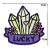 A LUCKY embroided iron on patch, perfect for personalizing clothing, bags, and accessories. Easy to apply with heat, adding a retro touch to any project.
